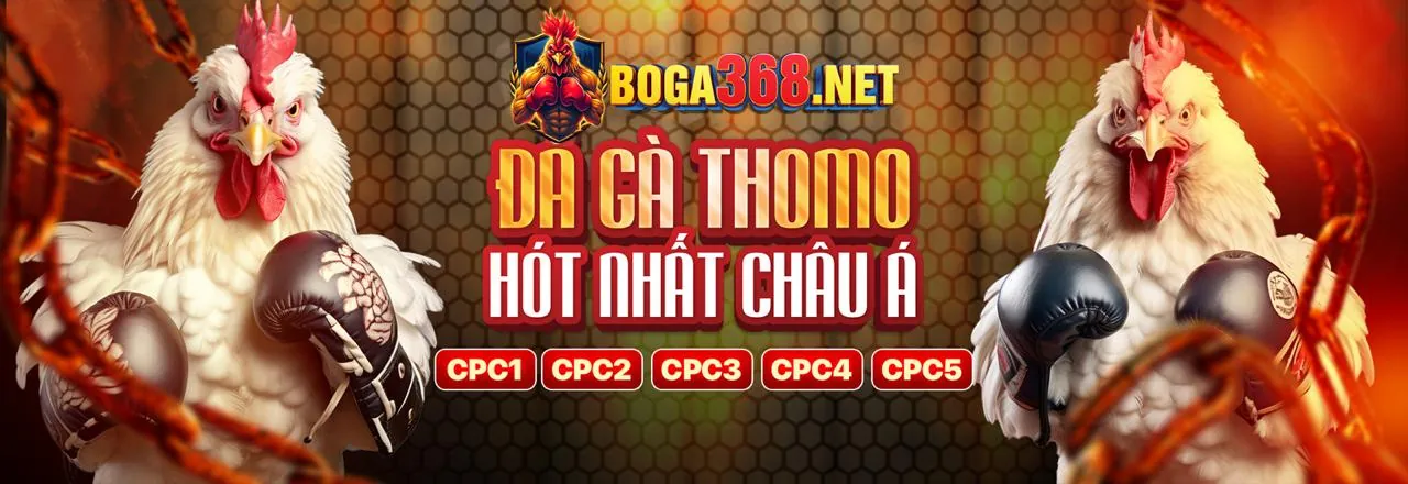 Đội ngũ hỗ trợ khách hàng TC88