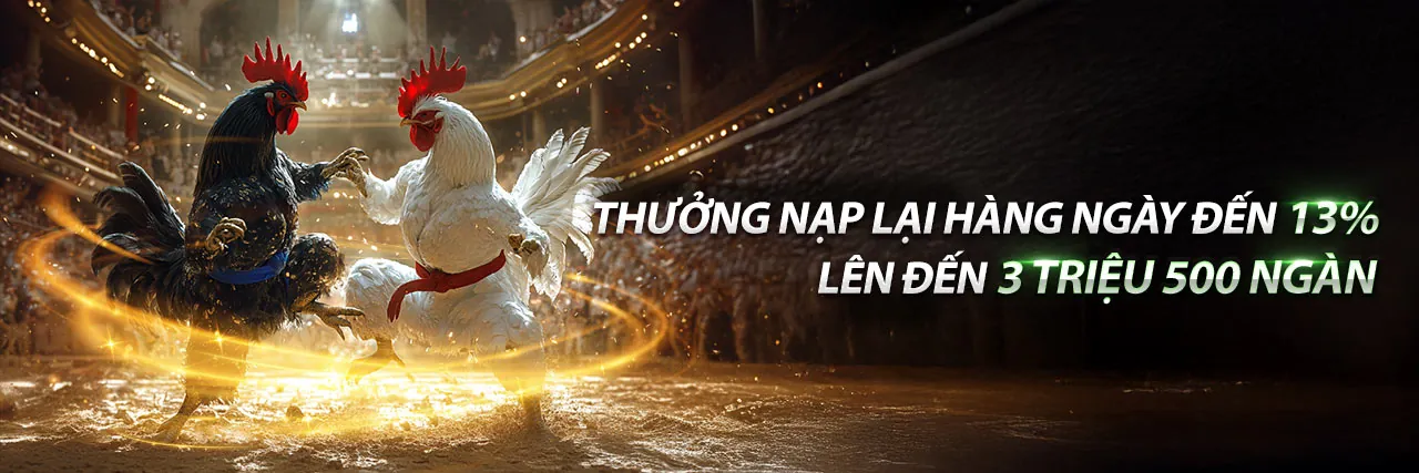 Đấu gà trực tuyến kịch tính tại TC88 nhà cái